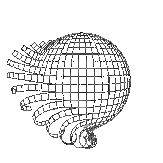 World building